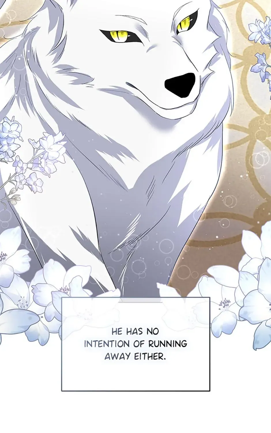 I will temporarily protect the male lead Chapter 41 page 14 - 