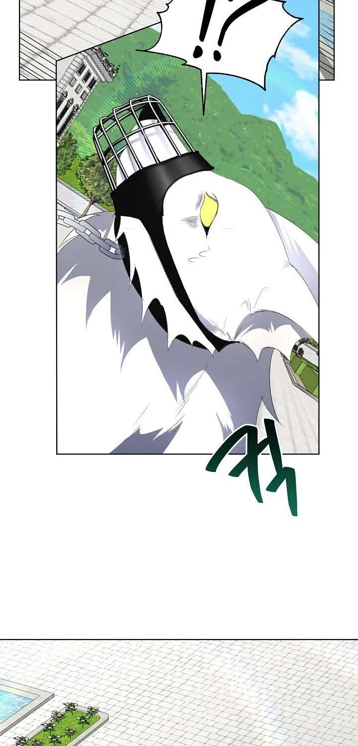 I will temporarily protect the male lead Chapter 5 page 39 - 