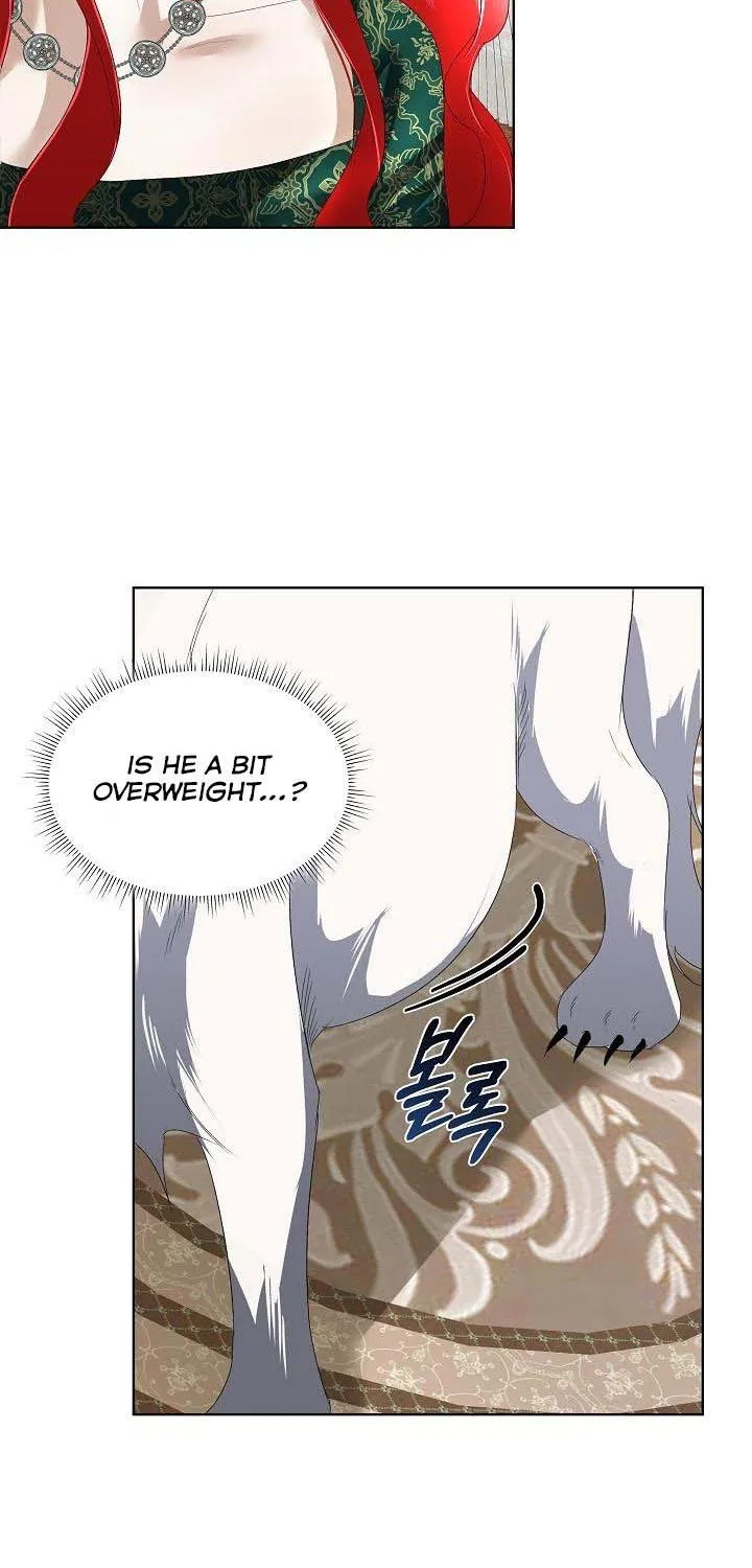 I will temporarily protect the male lead Chapter 5 page 79 - 