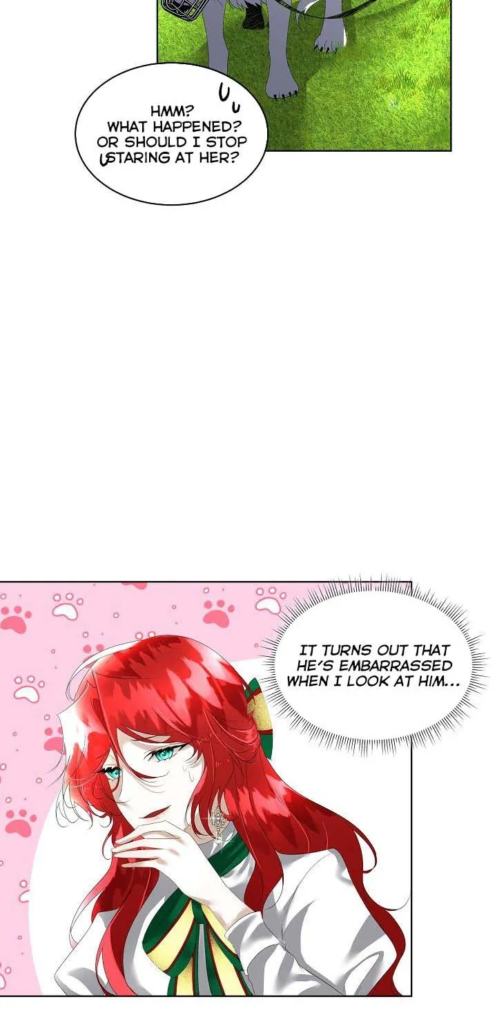 I will temporarily protect the male lead Chapter 6 page 21 - 