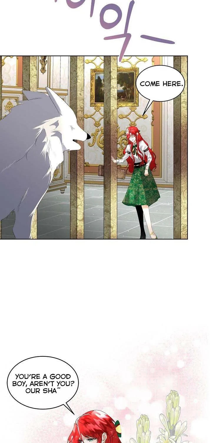 I will temporarily protect the male lead Chapter 6 page 71 - 