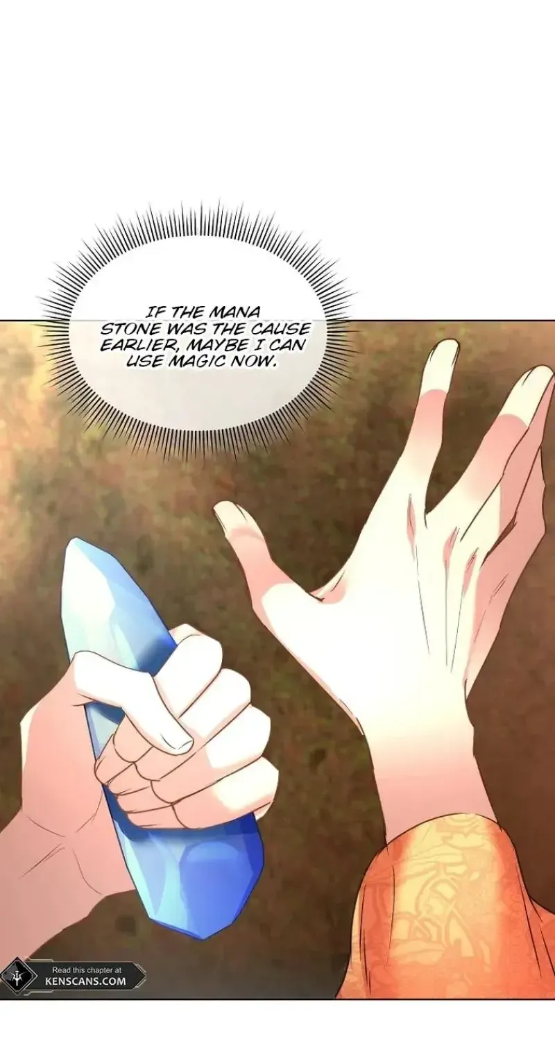 I will temporarily protect the male lead Chapter 66 page 47 - 