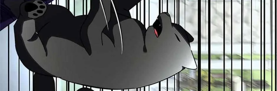 I will temporarily protect the male lead Chapter 71 page 64 - 