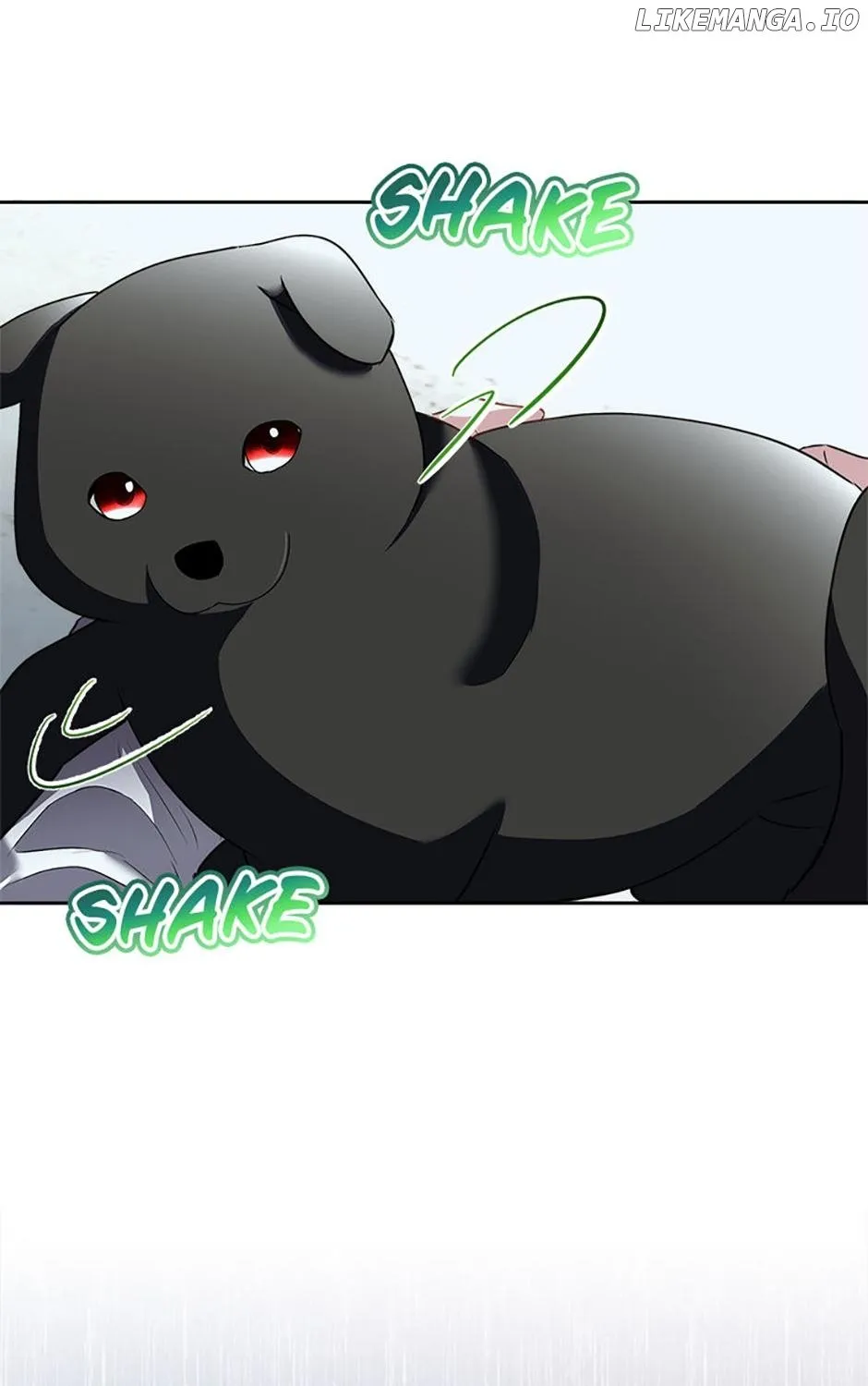 I will temporarily protect the male lead Chapter 71 page 91 - 