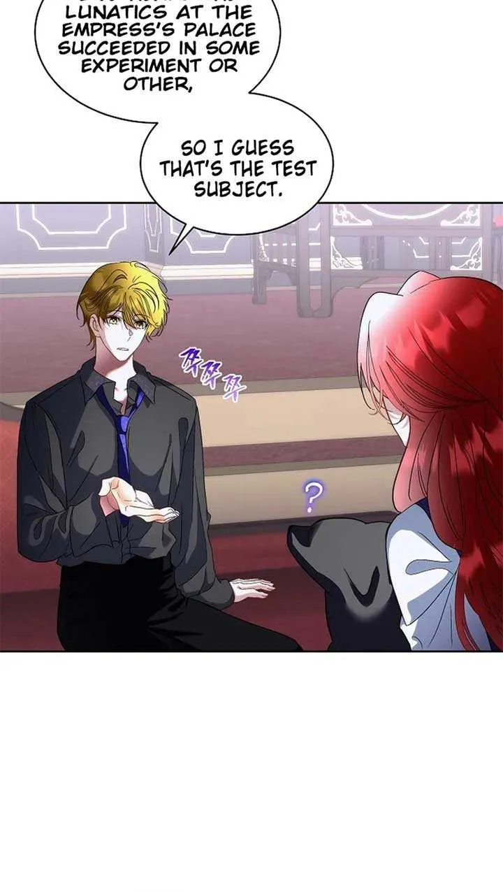 I will temporarily protect the male lead Chapter 73 page 17 - 