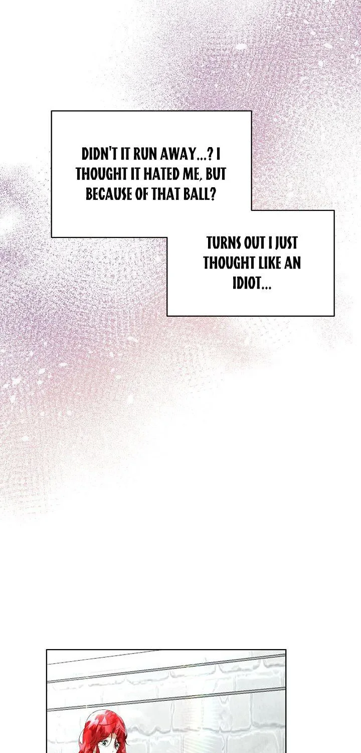 I will temporarily protect the male lead Chapter 8 page 21 - 