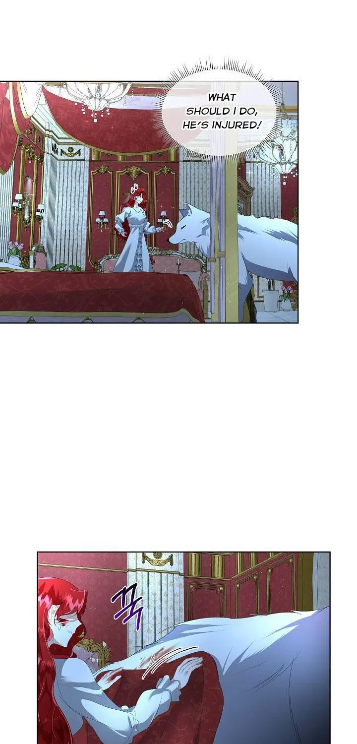 I will temporarily protect the male lead Chapter 9 page 43 - 