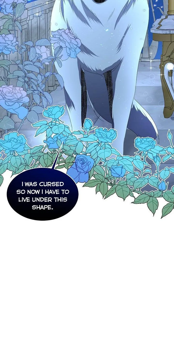 I will temporarily protect the male lead Chapter 9 page 93 - 