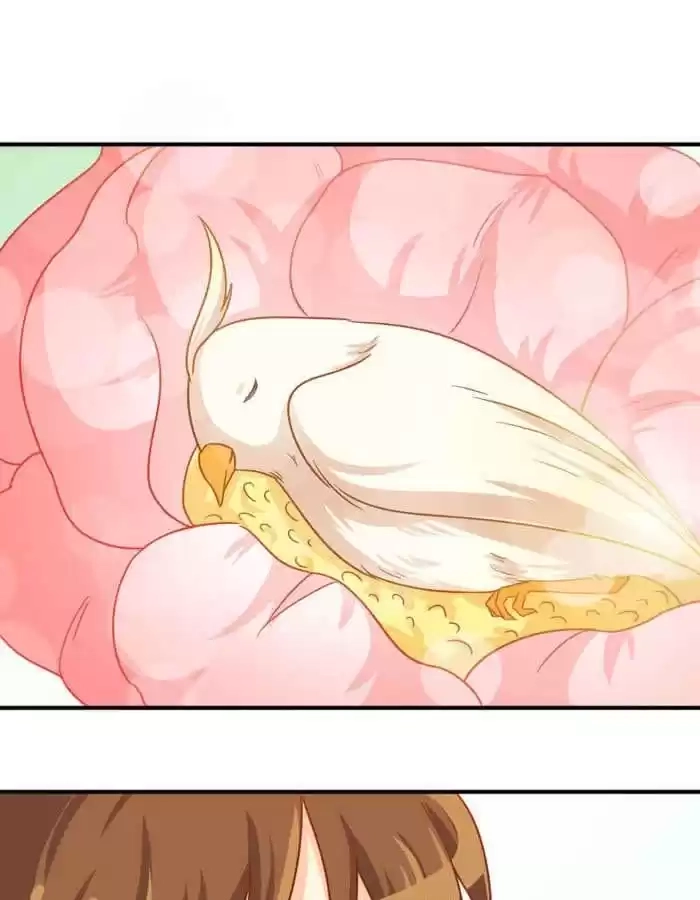 Read I Work for the Matchmaker chapter 88 image 12 on Lezhin