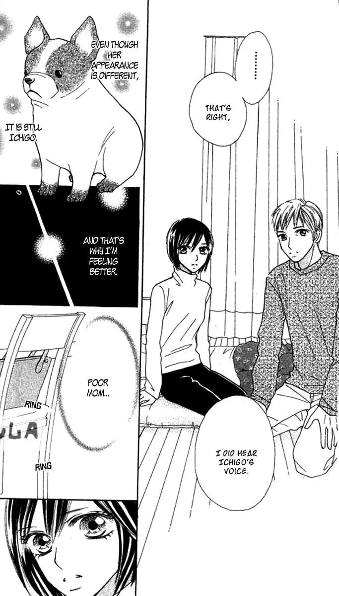 Read Ichigo and Anzu chapter 7 image 15 on Lezhin