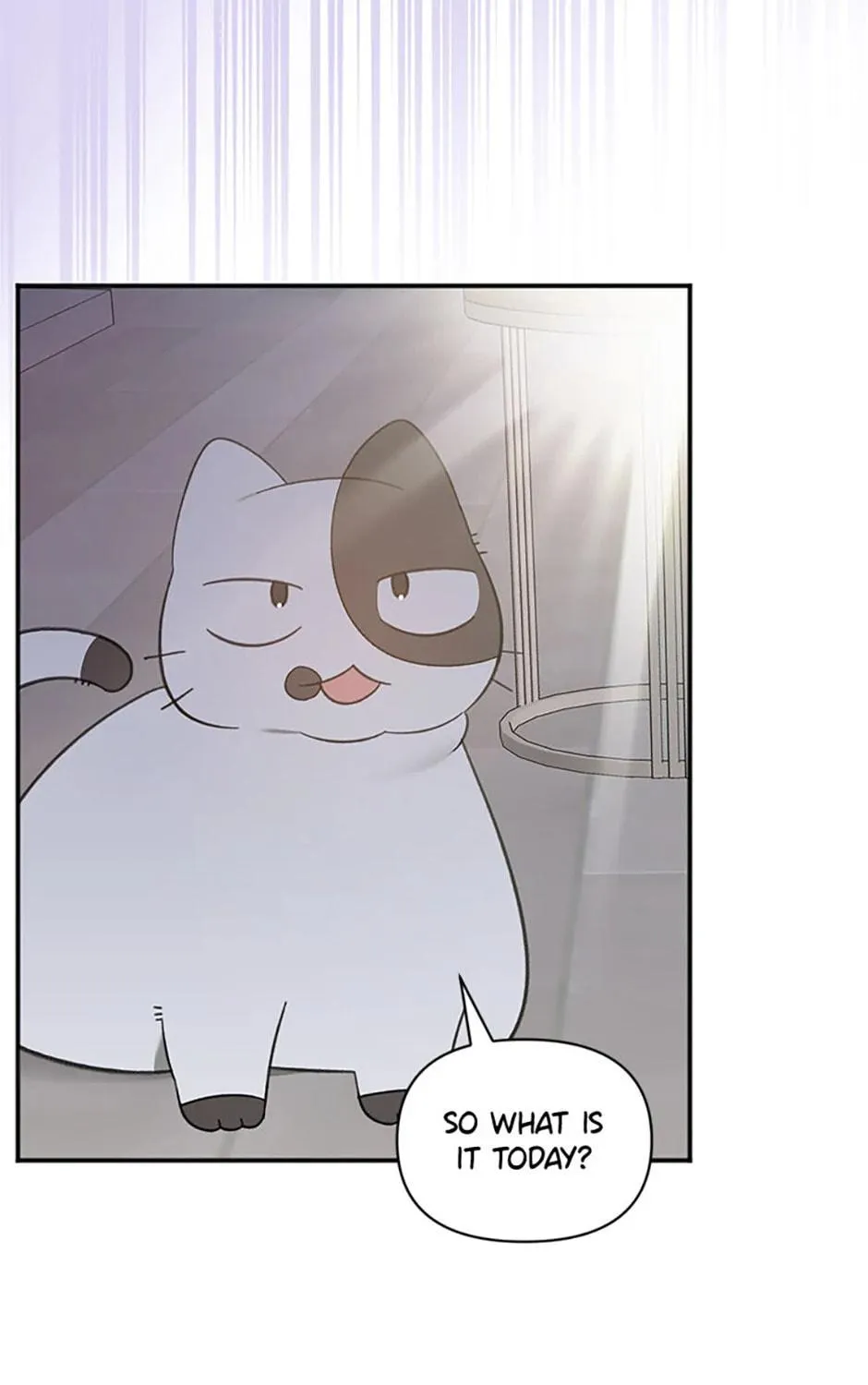 Read Ideal Match Delivery Service chapter 72 image 10 on Lezhin