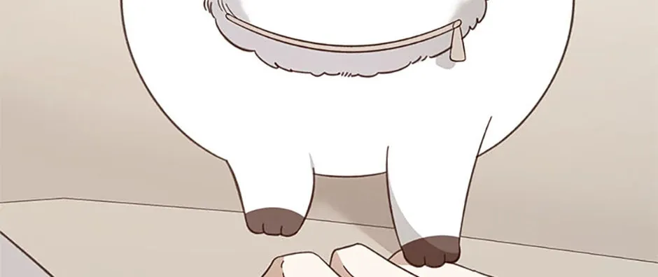 Read Ideal Match Delivery Service chapter 72 image 163 on Lezhin