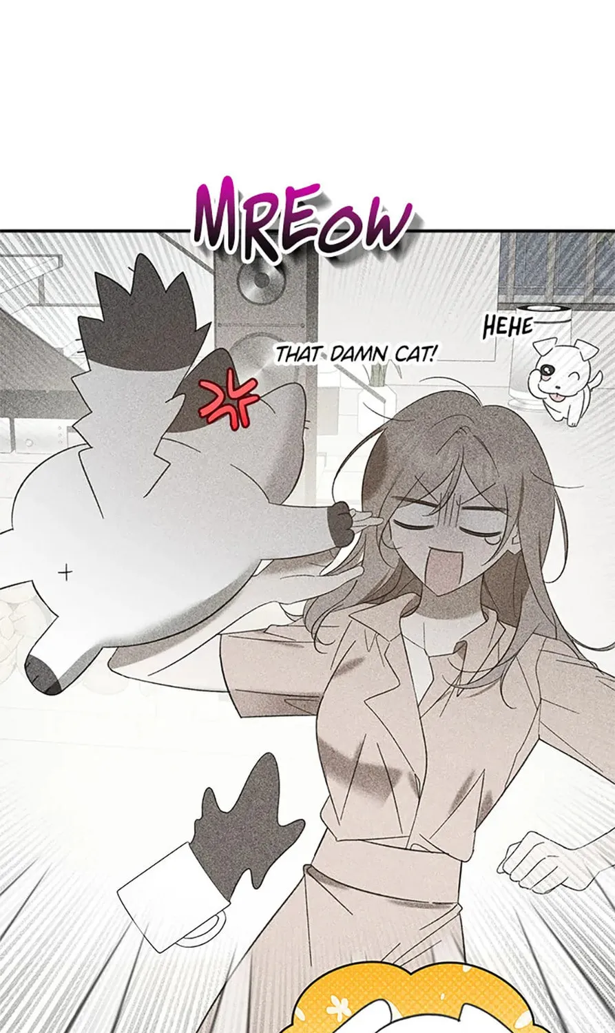Read Ideal Match Delivery Service chapter 72 image 24 on Lezhin