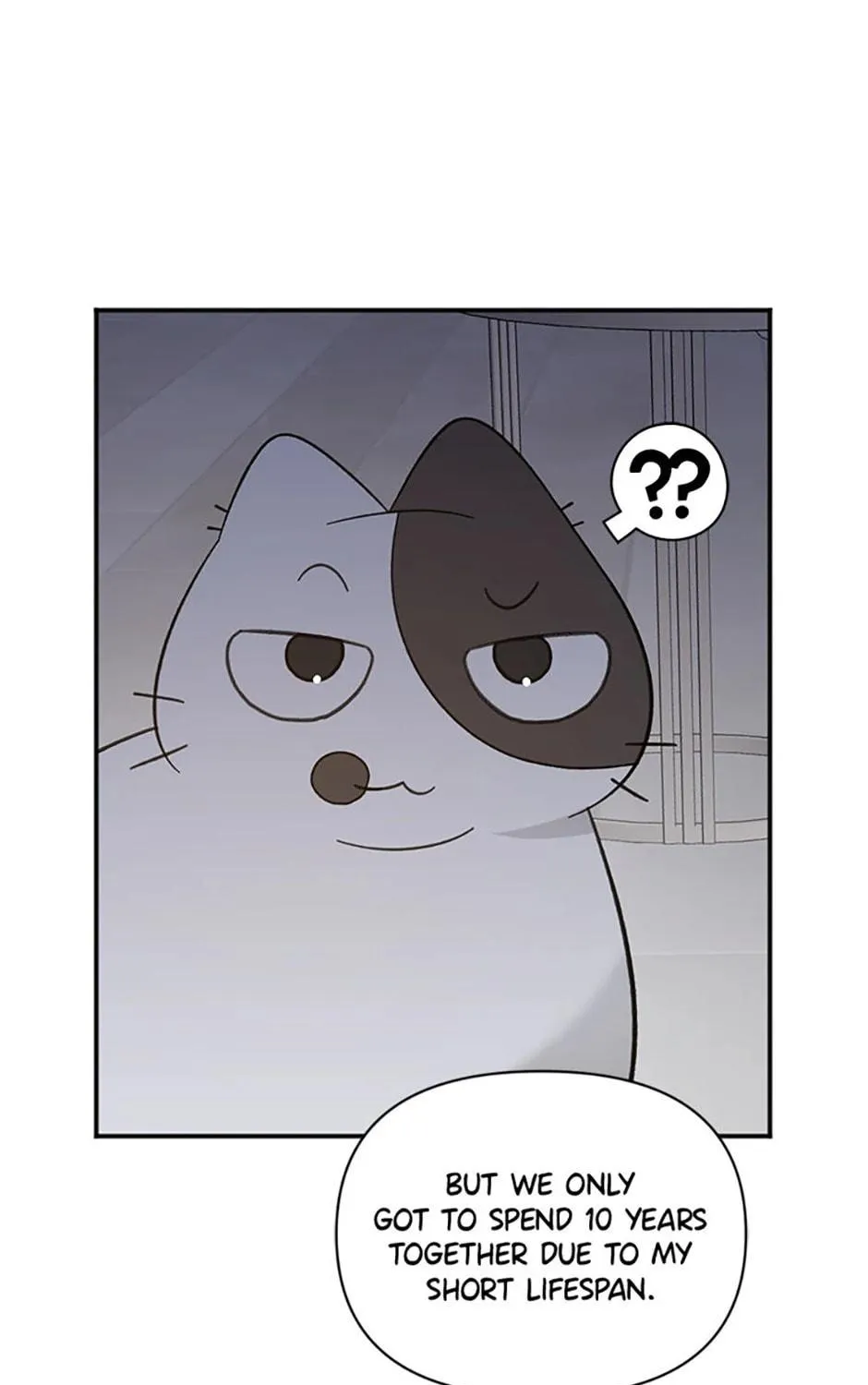 Read Ideal Match Delivery Service chapter 72 image 34 on Lezhin