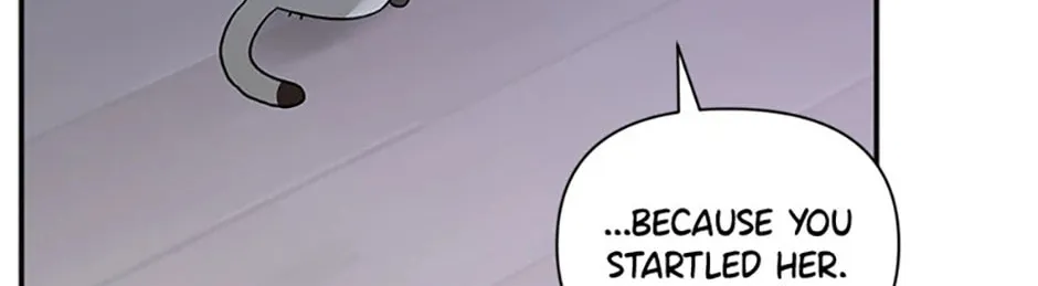 Read Ideal Match Delivery Service chapter 72 image 63 on Lezhin