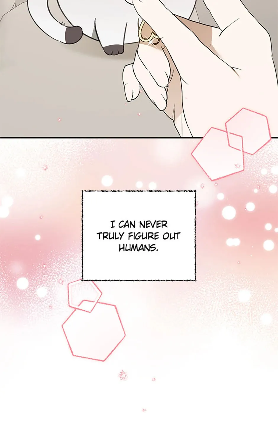 Read Ideal Match Delivery Service chapter 73 image 12 on Lezhin