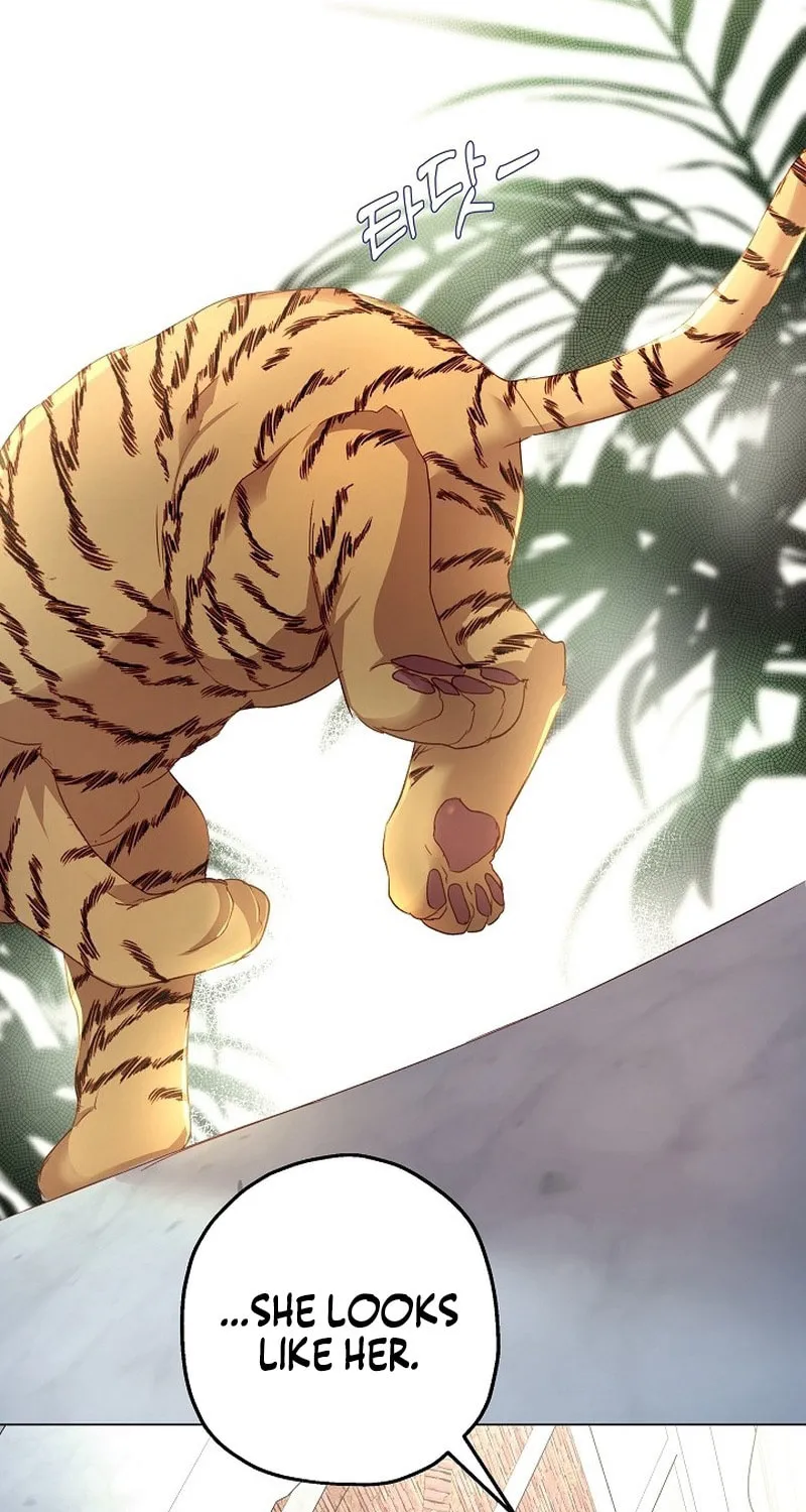 If a Mad Dog Bites a Cub Chapter 11 page 66 - 