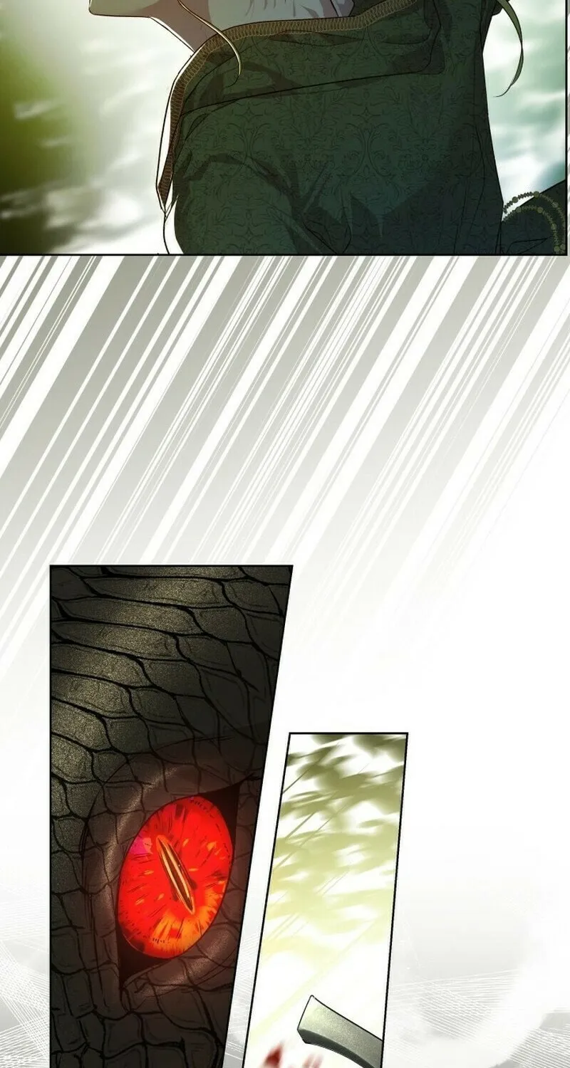 If a Mad Dog Bites a Cub Chapter 18 page 12 - 