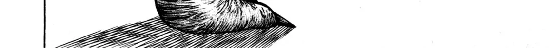 Read Igyoujin Oniwakamaru chapter 1 image 91 on Lezhin