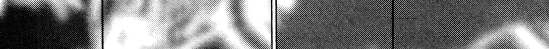 Read Igyoujin Oniwakamaru chapter 16 image 13 on Lezhin