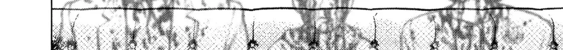 Read Igyoujin Oniwakamaru chapter 29 image 13 on Lezhin