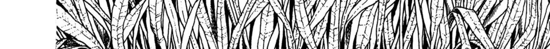Read Igyoujin Oniwakamaru chapter 32 image 3 on Lezhin