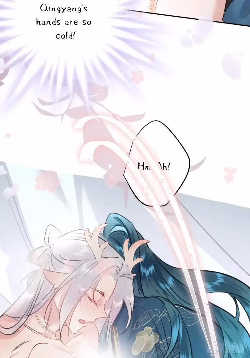 Read Illuminating the Night Brightly chapter 11 image 10 on Lezhin