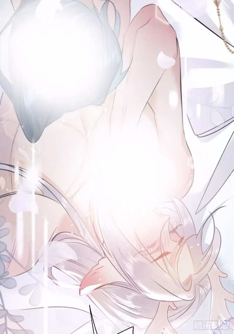 Read Illuminating the Night Brightly chapter 11 image 15 on Lezhin