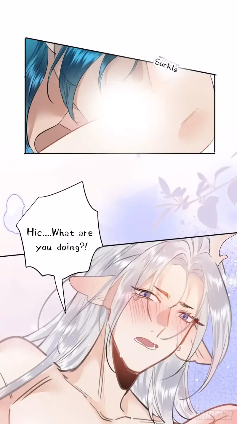 Read Illuminating the Night Brightly chapter 11 image 18 on Lezhin