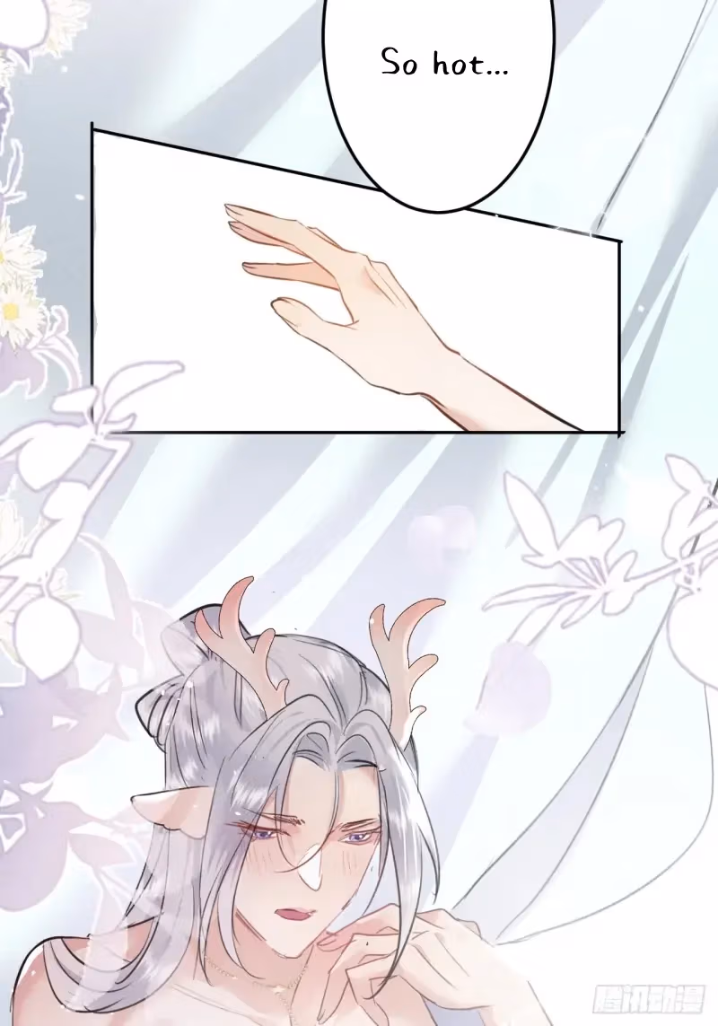 Read Illuminating the Night Brightly chapter 11 image 4 on Lezhin