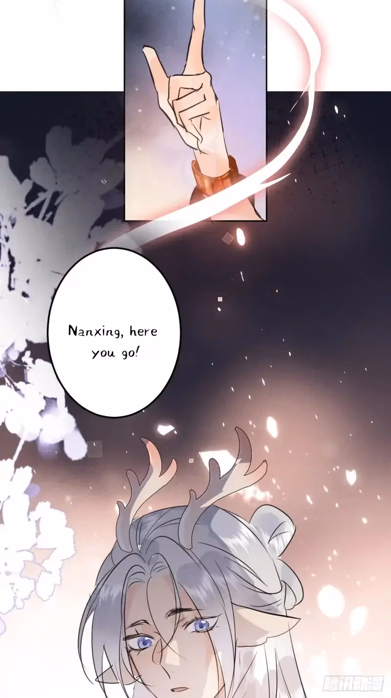 Read Illuminating the Night Brightly chapter 11 image 48 on Lezhin