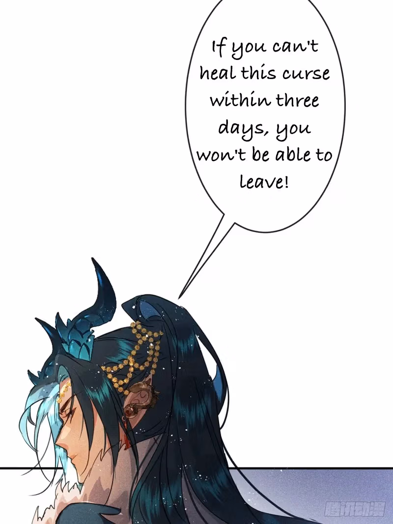 Read Illuminating the Night Brightly chapter 2 image 65 on Lezhin