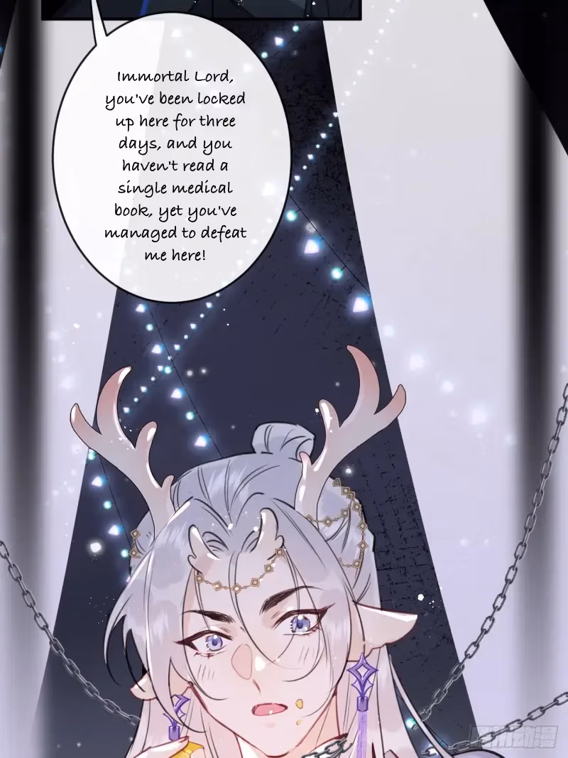 Read Illuminating the Night Brightly chapter 3 image 25 on Lezhin