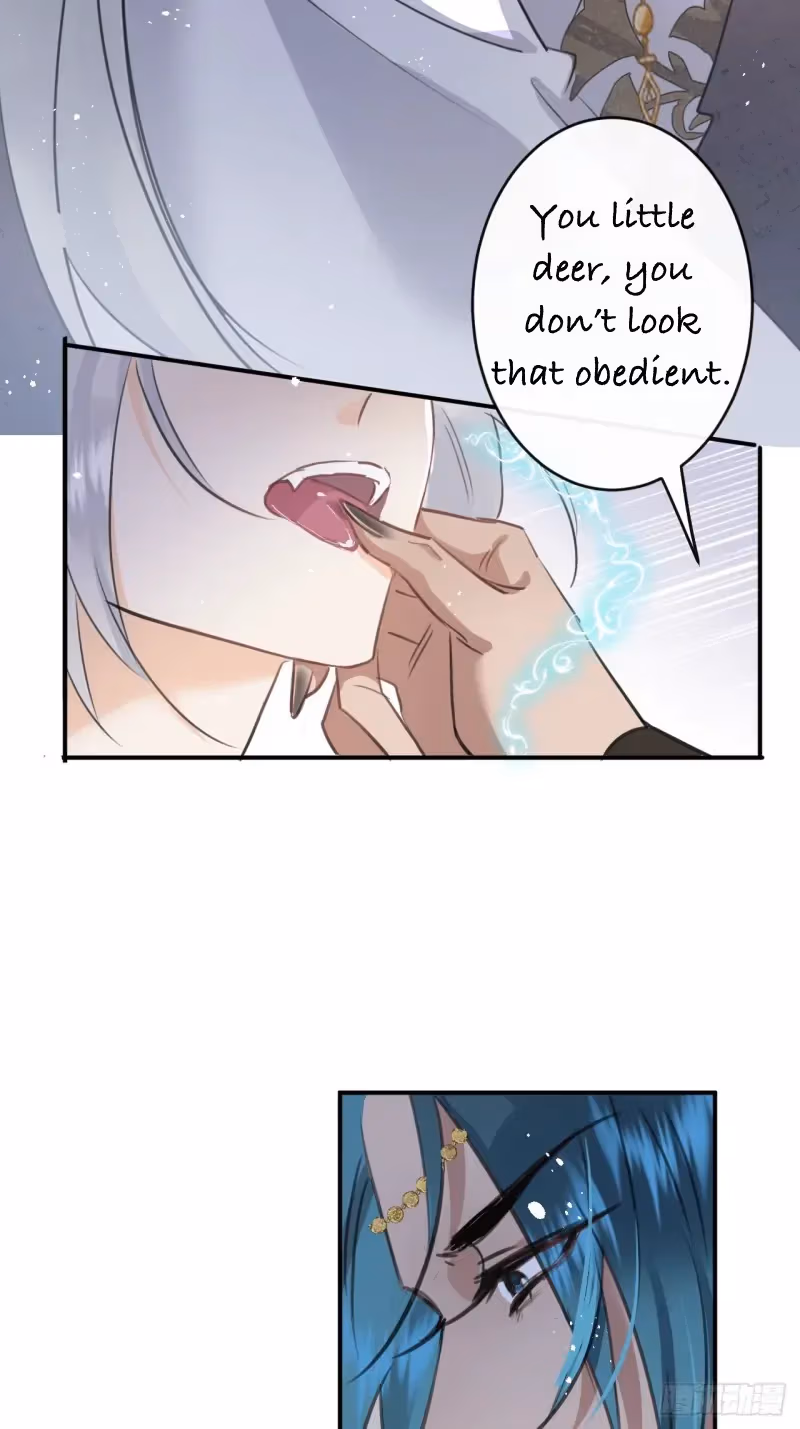 Read Illuminating the Night Brightly chapter 4 image 33 on Lezhin