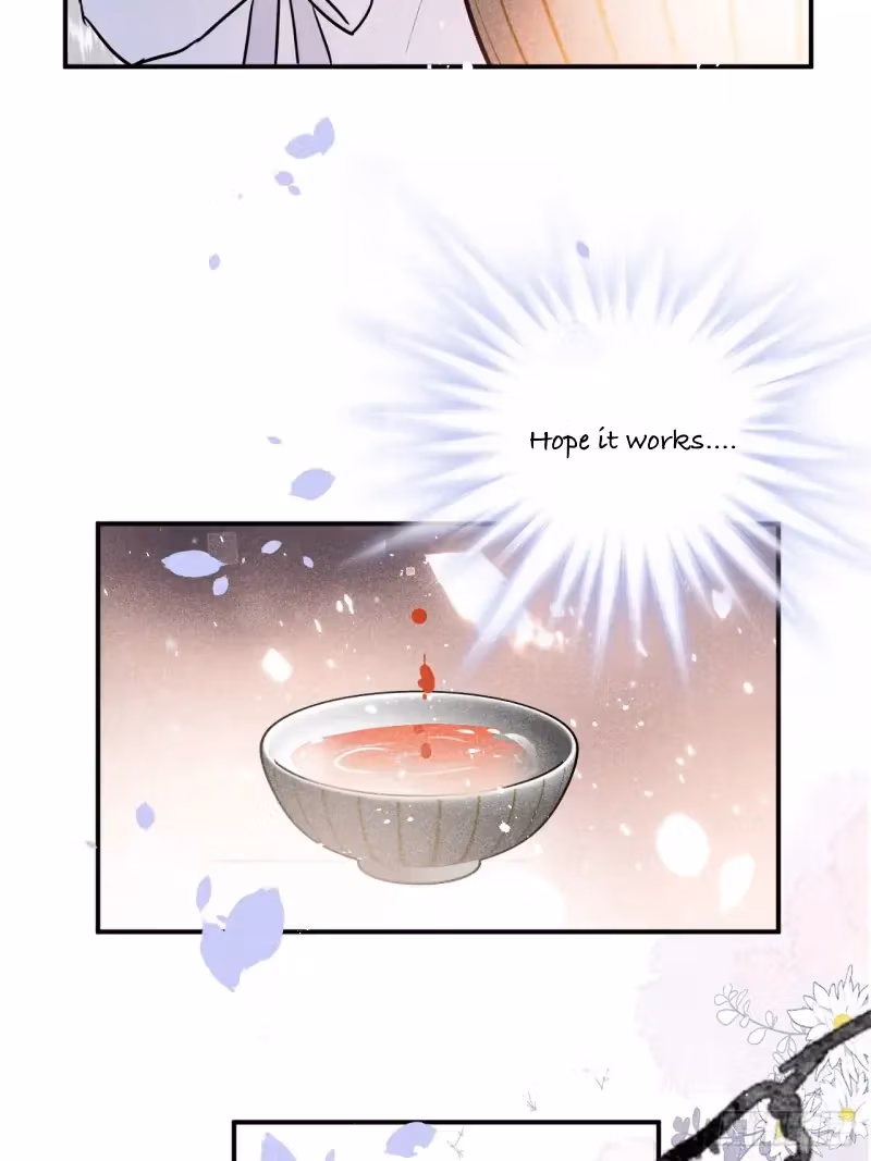 Read Illuminating the Night Brightly chapter 6 image 43 on Lezhin