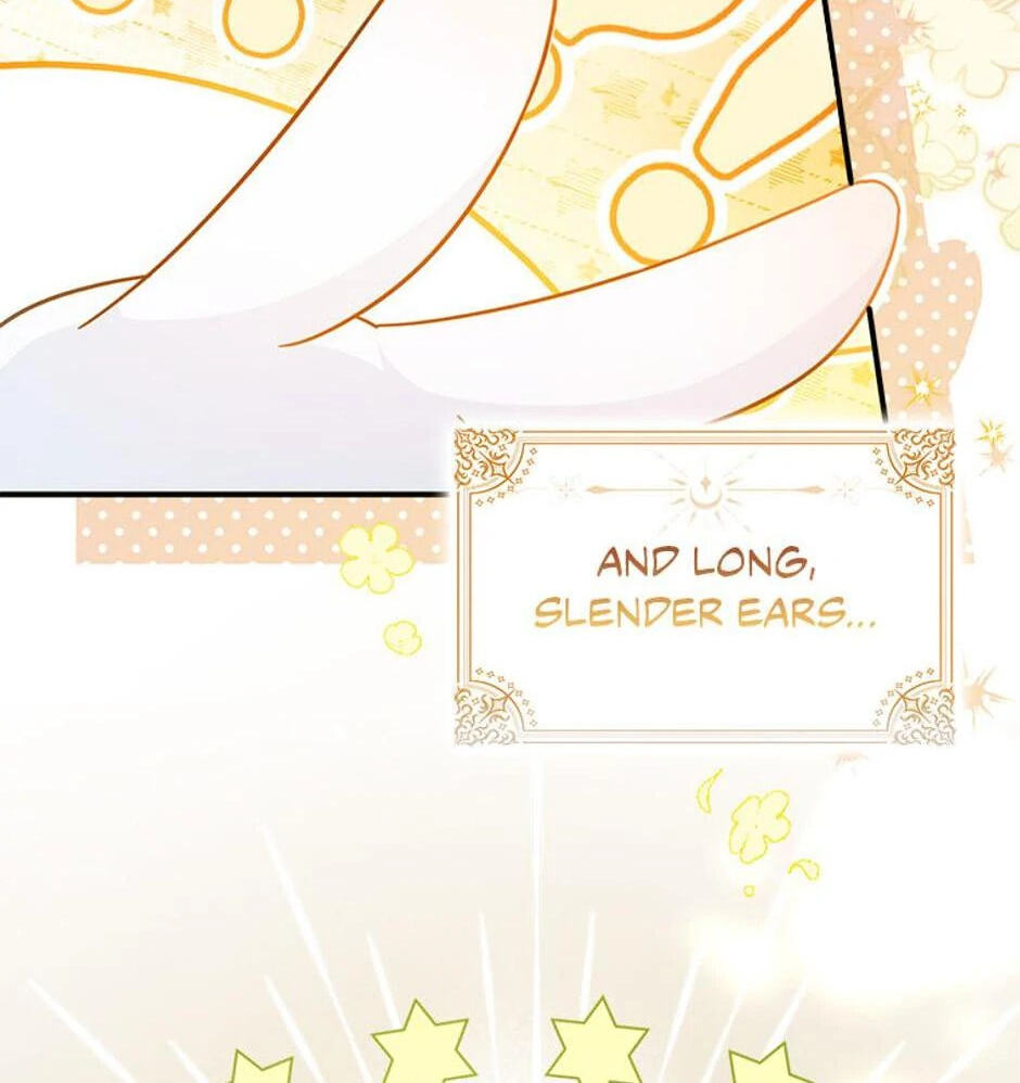 I'm a Beast, Not a Bunny! Chapter 1 page 11 - 