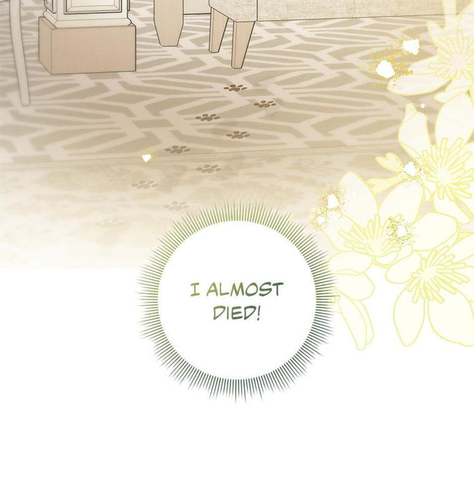 I'm a Beast, Not a Bunny! Chapter 1 page 127 - 