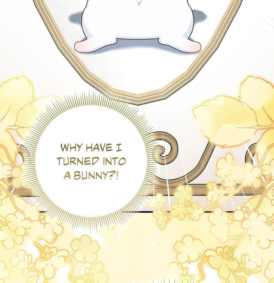 I'm a Beast, Not a Bunny! Chapter 1 page 142 - 