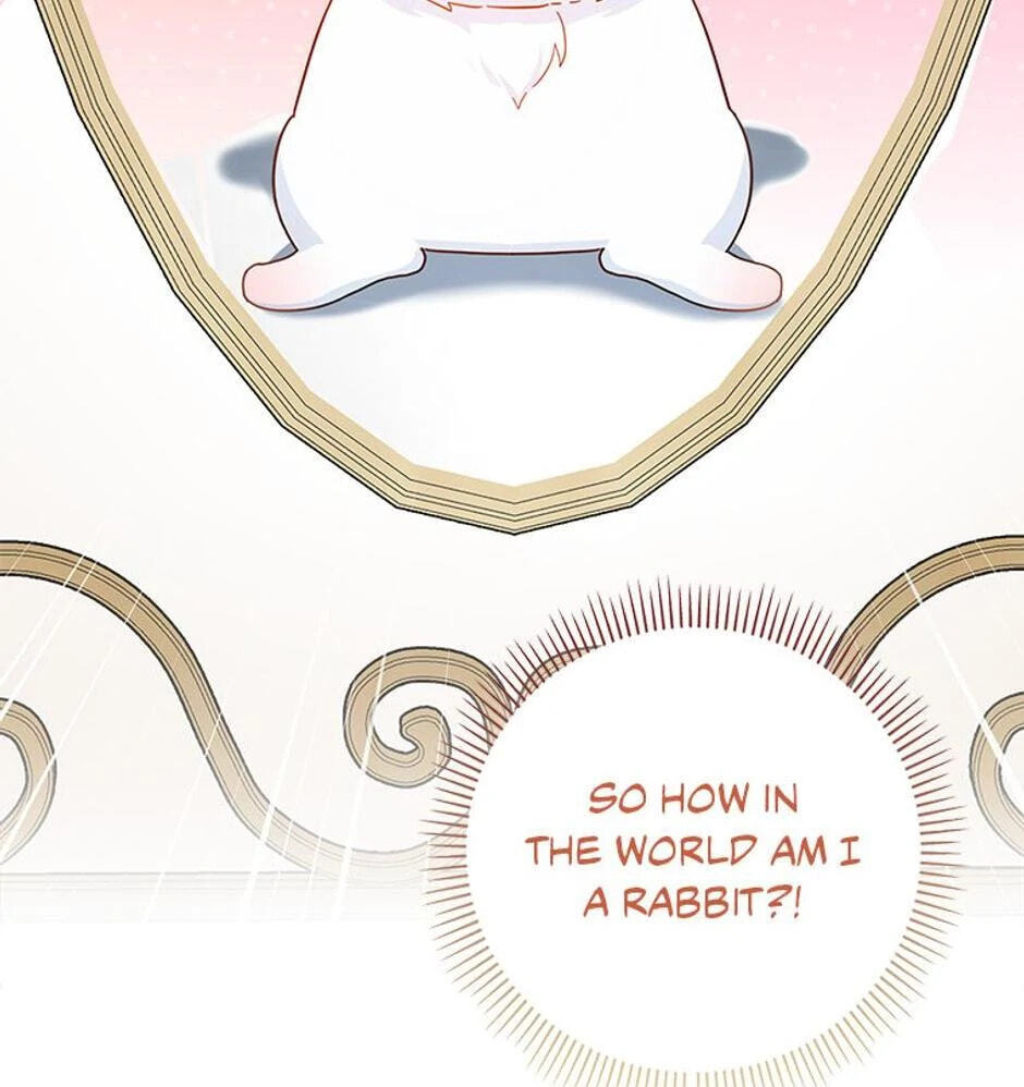 I'm a Beast, Not a Bunny! Chapter 1 page 20 - 