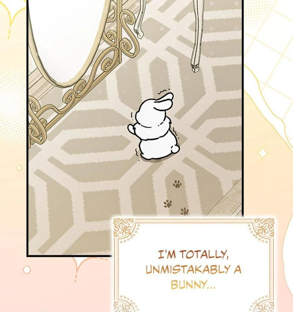 I'm a Beast, Not a Bunny! Chapter 1 page 23 - 