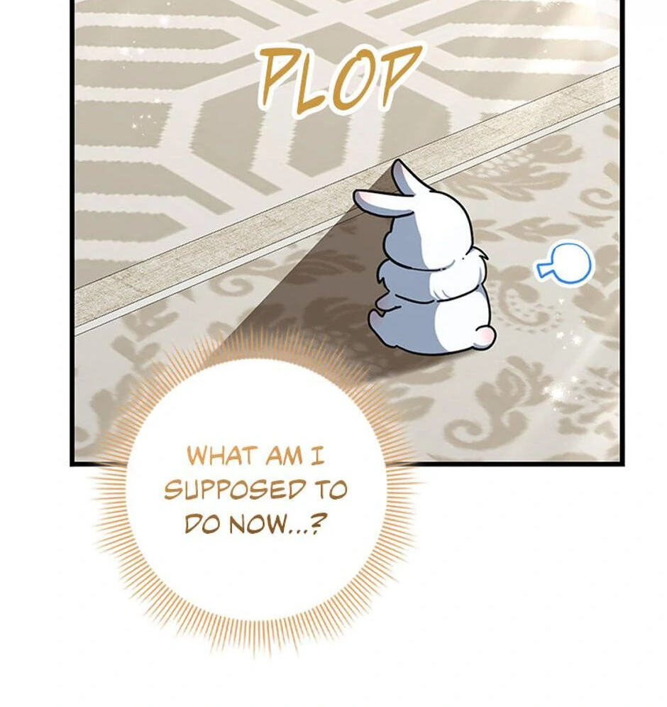 I'm a Beast, Not a Bunny! Chapter 1 page 25 - 