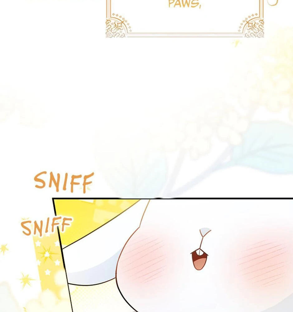 I'm a Beast, Not a Bunny! Chapter 1 page 9 - 