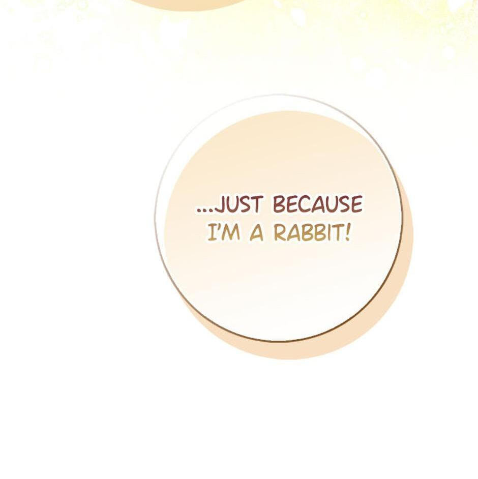 I'm a Beast, Not a Bunny! Chapter 27 page 14 - 