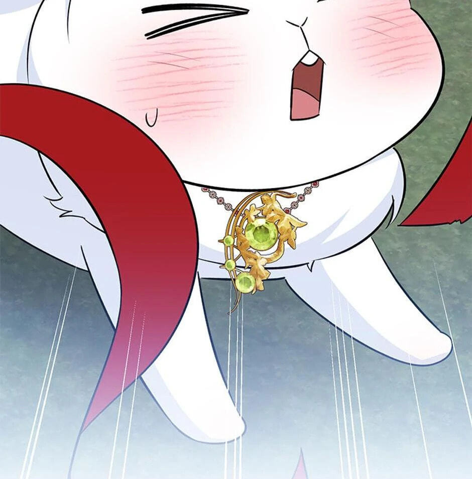 I'm a Beast, Not a Bunny! Chapter 29 page 61 - 