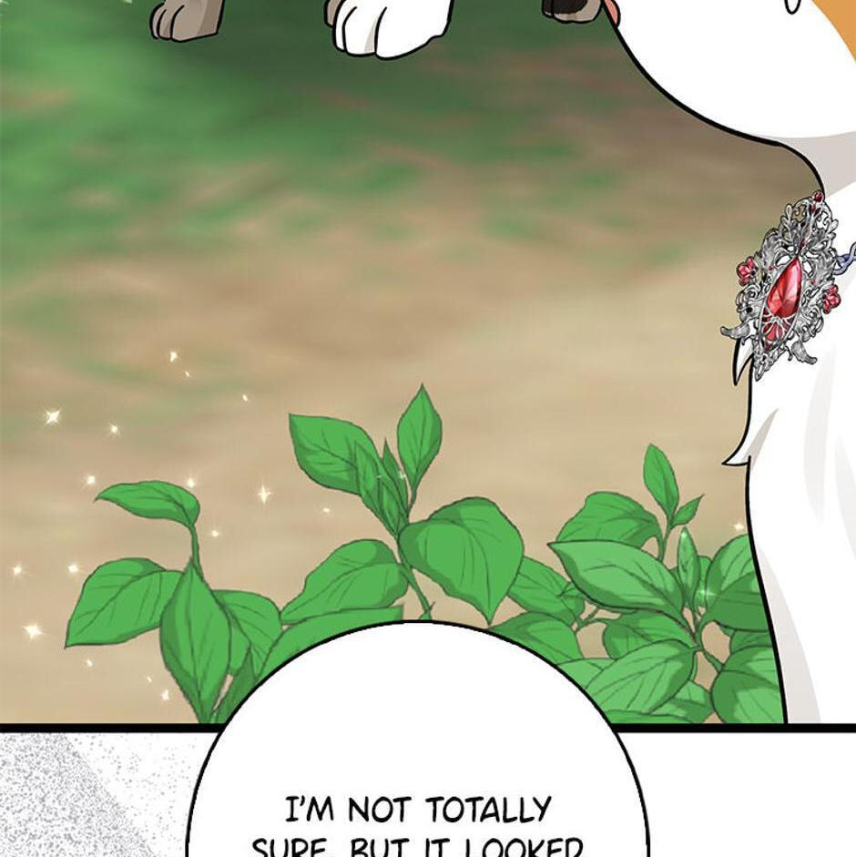 I'm a Beast, Not a Bunny! Chapter 30 page 141 - 