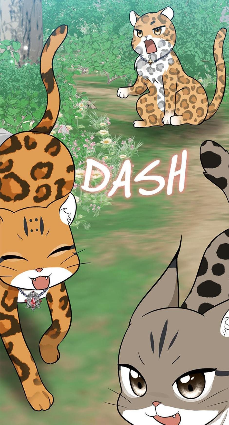 I'm a Beast, Not a Bunny! Chapter 30 page 151 - 