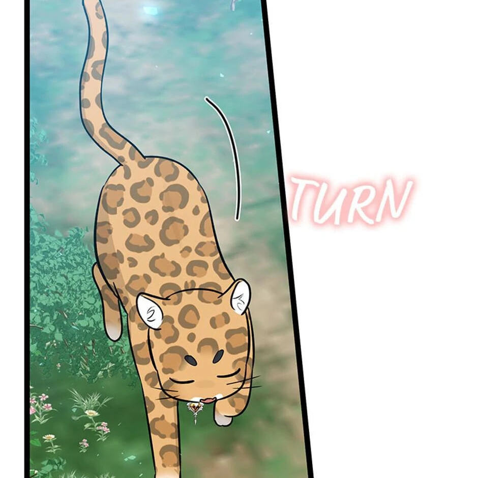 I'm a Beast, Not a Bunny! Chapter 30 page 156 - 