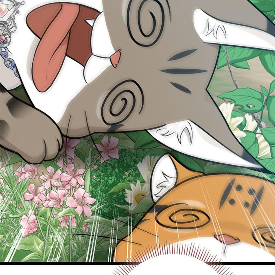 I'm a Beast, Not a Bunny! Chapter 30 page 163 - 