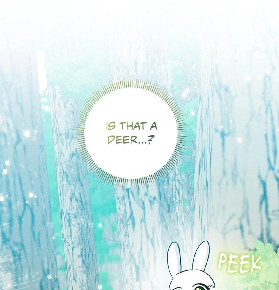 I'm a Beast, Not a Bunny! Chapter 31 page 14 - 