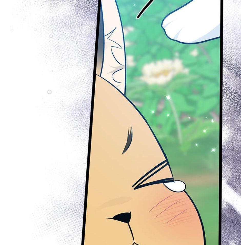 I'm a Beast, Not a Bunny! Chapter 31 page 154 - 